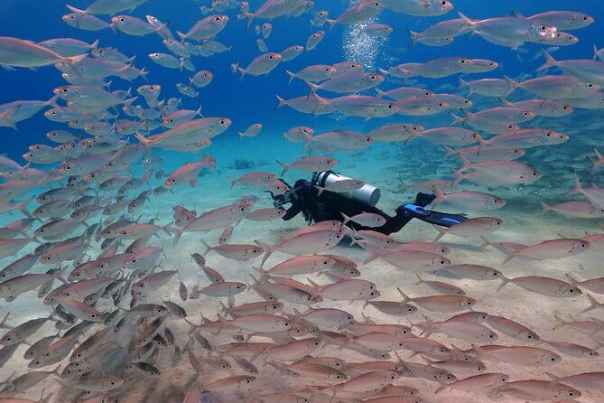 2 Fun Dives in Racha Yai or Noi for Certified Divers - Chalong Pier at 7:00 am: how the day starts