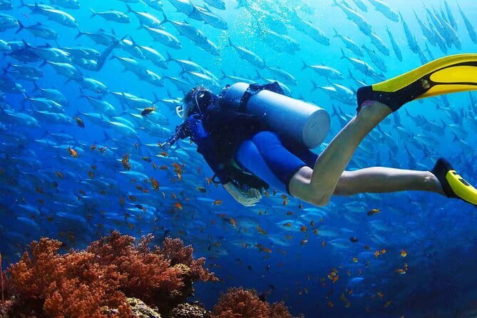 2 Fun Dives in Racha Yai or Noi for Certified Divers - Underwater insurance and safety structure