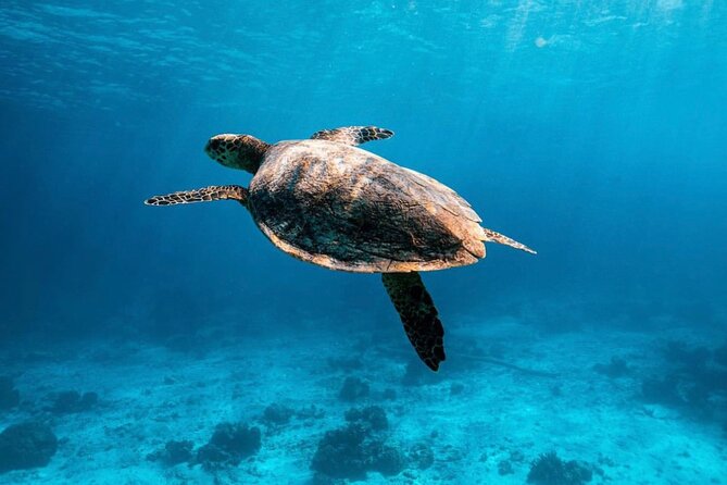 2x Snorkelling Phi Phi, Maiton, Maya Bay, khai islands tour - Key things I’d plan around on this tour