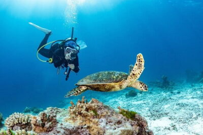 3 Fun Dives in Phi Phi islands for Certified Divers - Your day at sea: three underwater sessions, two at Phi Phi
