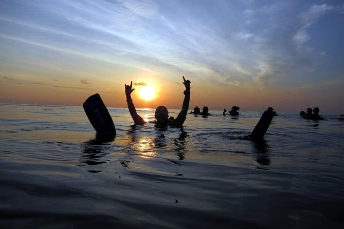 3 Fun Dives in Phi Phi islands for Certified Divers - Boat comfort and the food plan that keeps you energized