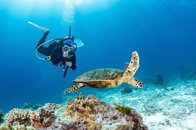 3 Fun Dives in Phi Phi islands for Certified Divers - Your day at sea: three underwater sessions, two at Phi Phi