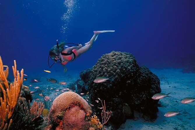 3 Fun Dives in Racha Yai and Racha Noi for Certified Divers - Racha Yai and Racha Noi: the underwater story you’re paying for