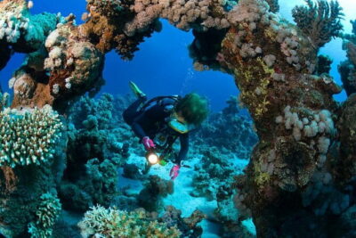 3 Fun Dives in Racha Yai and Racha Noi for Certified Divers - The structure behind 3 sessions in one day