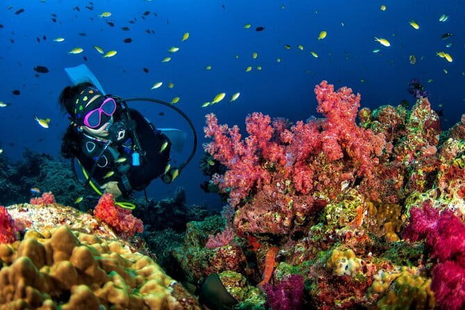 3 Fun Dives King Cruiser Wreck and Koh DokMai for Certified diver - Meeting at Chalong Pier: How the day starts (and why it matters)