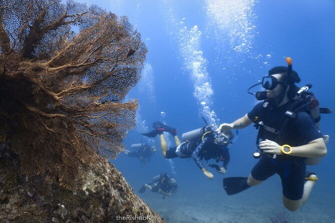 3 Fun Dives King Cruiser Wreck and Koh DokMai for Certified diver - Insurance, equipment, and the paperwork you don’t want to ignore