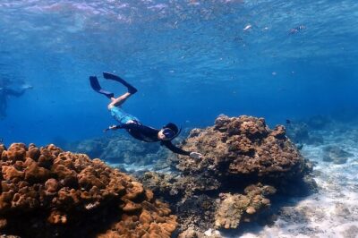 3-Island Speedboat Tour: Racha Noi, Racha Yai & Maiton - Racha Noi: talcum-powder sand and clear-water beach time