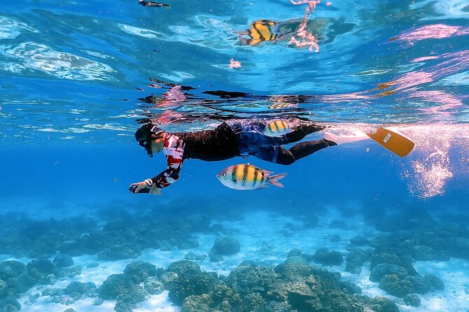 3-Island Speedboat Tour: Racha Noi, Racha Yai & Maiton - Boat day comfort: speedboat tempo, practical packing, and small-group energy