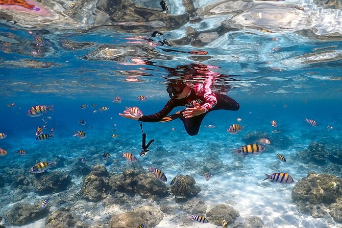 3-Island Speedboat Tour: Racha Noi, Racha Yai & Maiton - Who this tour is perfect for (and who should skip it)