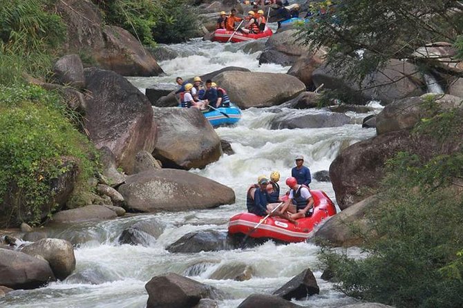 5km White Water Rafting and Jungle Tour From Phuket - Phuket White Water Rafting That Actually Feels Like a Day Out