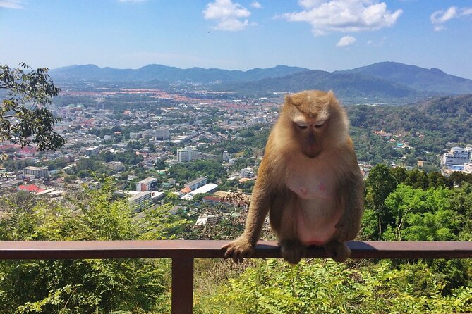 Amazing Phuket Sunset: Promthep Cape, Monkey Hill, Chillva Market - Getting Started at 3:30 PM: pickup that keeps you on Phuket time