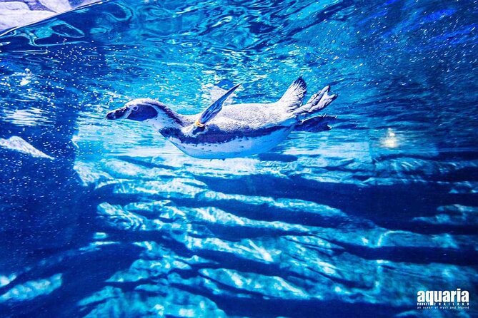 Aquarium Phuket and AR Trick Eye Museum Combo Tickets - Getting oriented fast: where to redeem and when they’re open