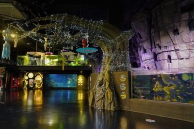 Aquarium Phuket and AR Trick Eye Museum Combo Tickets - Aquaria Phuket: the big aquarium experience and why feedings make it better