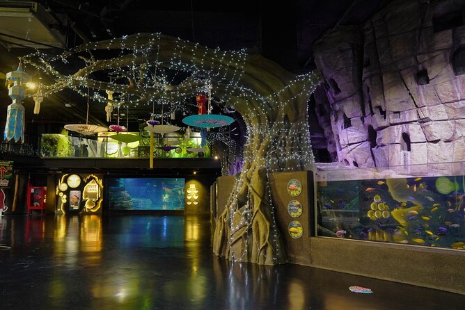 Aquarium Phuket and AR Trick Eye Museum Combo Tickets - Aquaria Phuket: the big aquarium experience and why feedings make it better