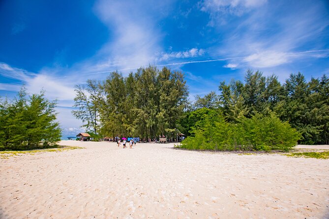Bamboo Island and Phi Phi Island Full Day Tour From Phuket - Monkey Beach: fun if you’re ready for quick stops