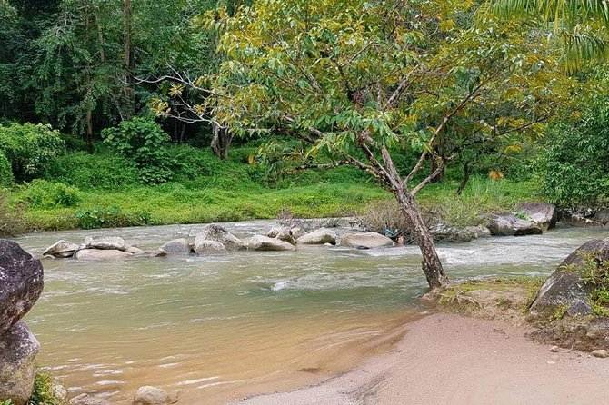 Bamboo Rafting, ATV Riding and Zip Line Tour From Phuket - Thai Lunch, Fresh Fruit, and Drinks: Good Fuel for the Second Half