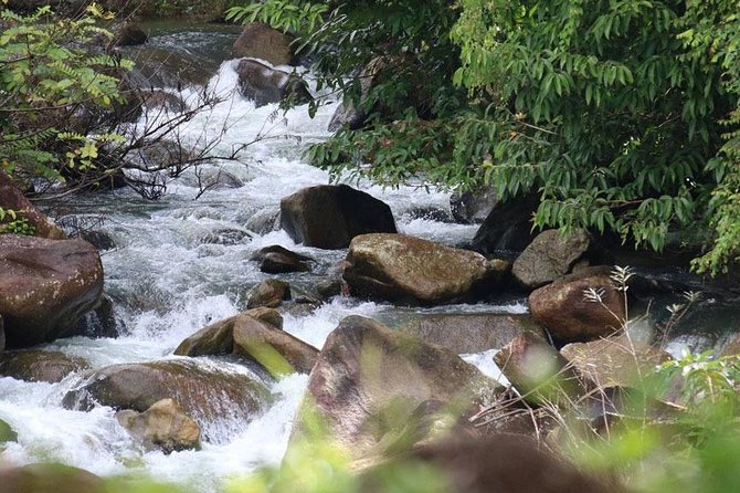 Bamboo Rafting, ATV Riding and Zip Line Tour From Phuket - Small-Group Size (Up to 10): Less Waiting, More Attention