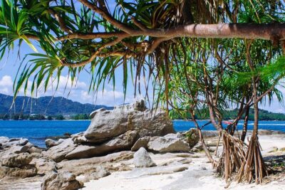 Bon Island Tour by longtail boat with Lunch - Picnic lunch on the beach: planning your midday around shade