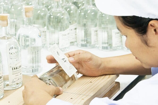 Chalong Bay Rum Distillery Experience - A Quick Reality Check: What a 30-Minute Distillery Visit Delivers