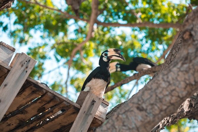 Coral and Racha Islands from Phuket - Key Highlights at a Glance