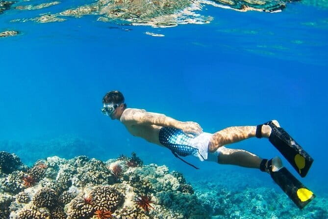 Coral Island Banana Beach Snorkeling and Clear Kayak Tour - Banana Beach and Koh Hey Snorkeling: What You’ll See Underwater