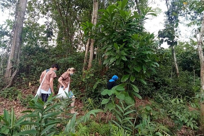 Elephant Sanctuary Small Group Tour in Phuket - Key highlights you’ll actually care about