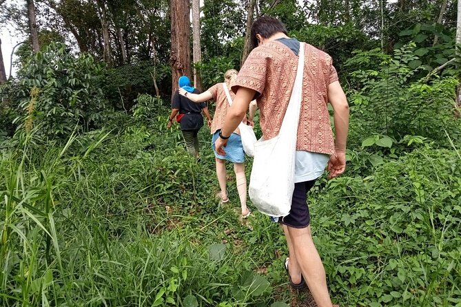 Elephant Sanctuary Small Group Tour in Phuket - Elephant care in a Phuket forest sanctuary