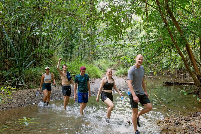 Explore Khao Sok: Jungle Safari in Thailand’s Pristine Rainforest - Who this tour is best for (and who should look elsewhere)