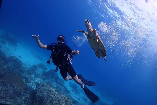 Explore Scuba Diving at Racha Yai Island from Phuket - Racha Yai Island’s shallow reefs are built for first-timers