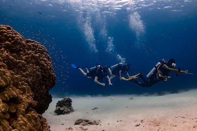 Explore Scuba Diving at Racha Yai Island from Phuket - Your full day timeline: what happens from 8:00 to 14:00