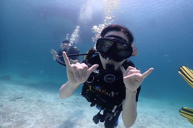Explore Scuba Diving at Racha Yai Island from Phuket - What you’ll likely see at Koh Racha Yai (based on guide-style success)