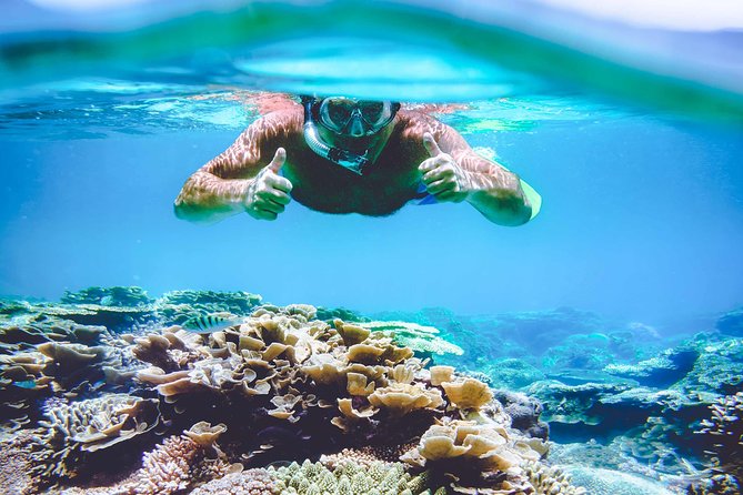 Explore Surin Islands: Ultimate Snorkeling Day Trip from Phuket - Surin Islands in a Single Long Day: What 9 Hours Really Feels Like