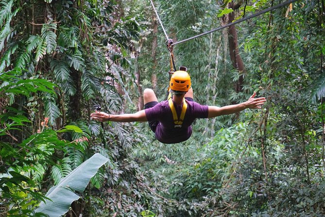Flying Hanuman Zipline Adventure – Soar Through the Jungle! - The zipline courses: 16 vs 28 platforms and what changes
