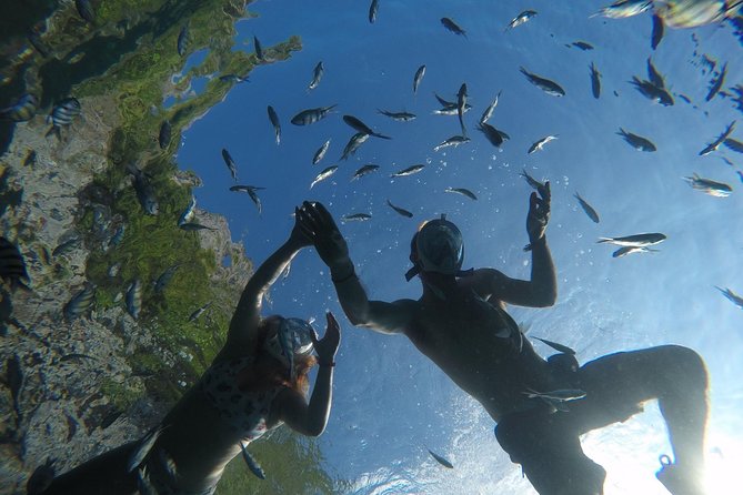 From Khao Lak : Full-Day Private Phi Phi Islands Speedboat Charter - Bamboo Island snorkel + calm beach time: the part you’ll remember