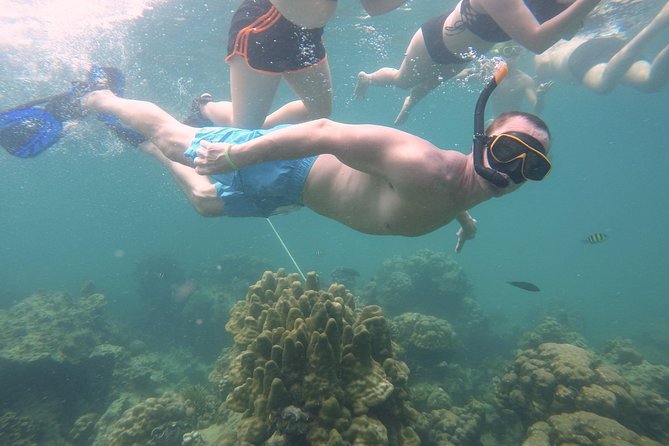 From Khao Lak : Full-Day Private Phi Phi Islands Speedboat Charter - Monkey Beach: wild animals on your schedule (and how to handle it)