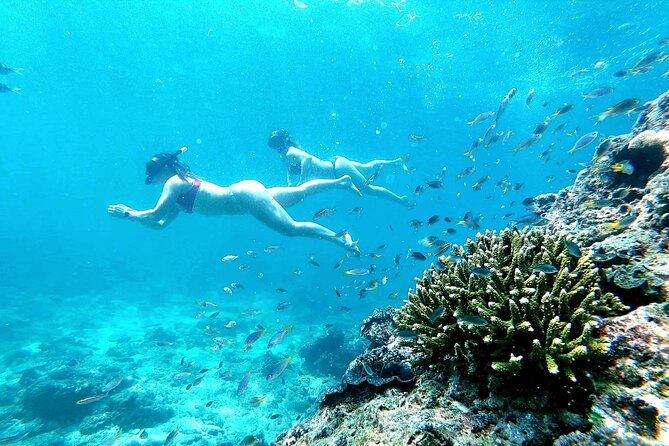 From Phuket: Phi Phi, Maya and Bamboo Islands Full Day Visit - Bamboo Island: white sand downtime plus a reef check
