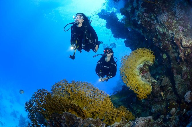 Full-Day Beginner Scuba Course with Private Tuition, Racha Yai - Koh Racha Yai: Why This First-Scuba Day Works
