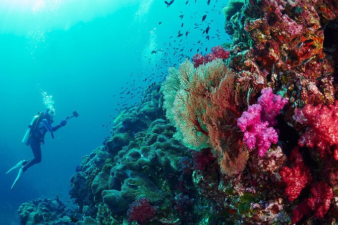 Full-Day Beginner Scuba Course with Private Tuition, Racha Yai - On the Boat: Comfort, Safety Checks, and What to Expect