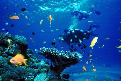 Full-Day Beginner Scuba Course with Private Tuition, Racha Yai - Chalong Pier Meeting Point and Phuket Pickup Zones