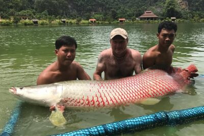 Full-Day Freshwater Lake Resort Fishing in Phang Nga - The early start: getting to the lake from Phuket International Airport