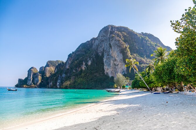 Full Day- Phi Phi Island & Maya Bay Snorkeling in Phuket & Lunch - Phi Phi Don lunch plus free time: Thai food and a viewpoint option