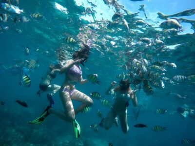Full-Day Racha Noi and Racha Yai Snorkeling from Phuket - Price and value: what you’re really paying for at about $104 per person