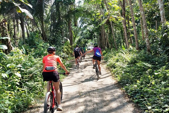 Half-Day Countryside Cycling Small-group Tour in Phuket - Key highlights to know before you ride