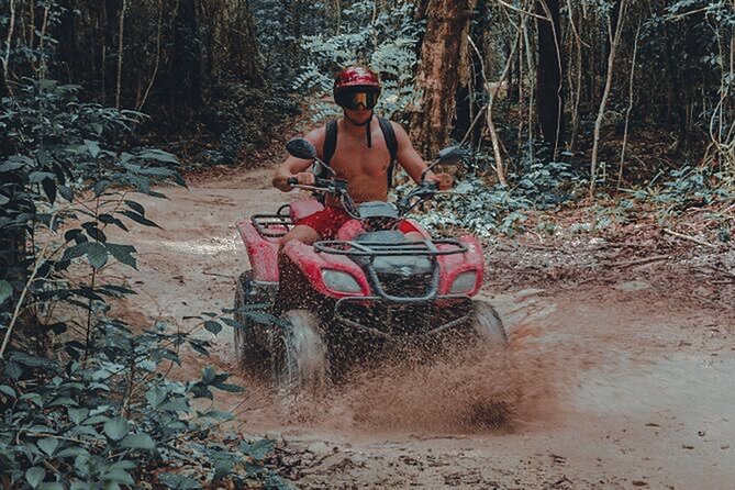 Half Day Phuket City Tour with ATV - Stop 3: Big Bee Farm