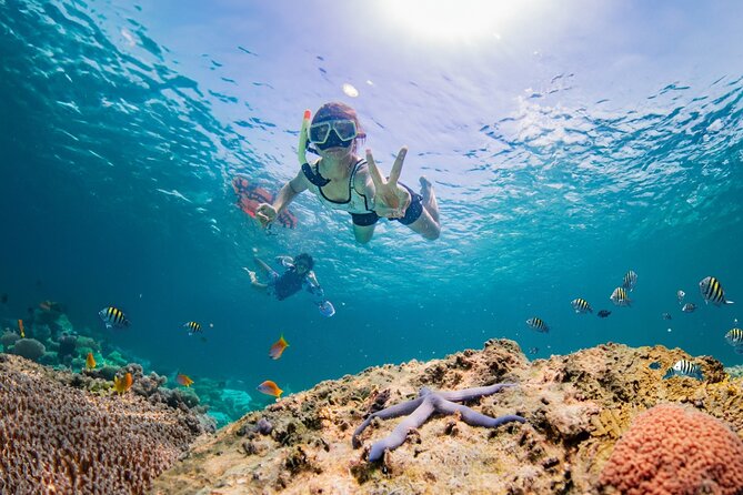 Half day Tropical Coral Island Snorkeling Tour from Phuket - Key reasons I’d book this Coral Island snorkeling tour