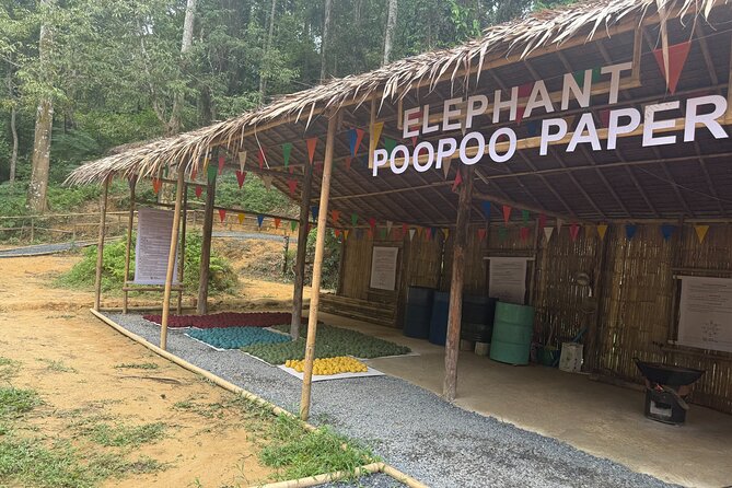 Half day with Elephants at Patong Elephant Hug (No ride No trick) - What “Elephant Hug” Means Here (And What It Doesn’t)