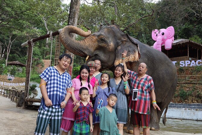 Half day with Elephants at Patong Elephant Hug (No ride No trick) - The Eco Piece: Elephant Paper-Making and Conservation Learning