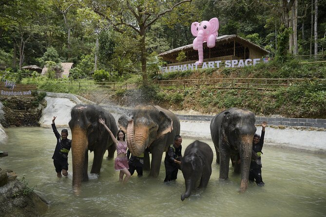 Half day with Elephants at Patong Elephant Hug (No ride No trick) - Guides, Safety, and the Flow of the Day
