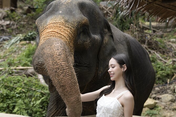 Half day with Elephants at Patong Elephant Hug (No ride No trick) - Value for $32.50: What You’re Really Paying For