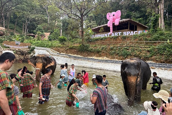 Half day with Elephants at Patong Elephant Hug (No ride No trick) - Package A (3 Hours): Feed, Spa, Shower, and a Real Thai Food Moment
